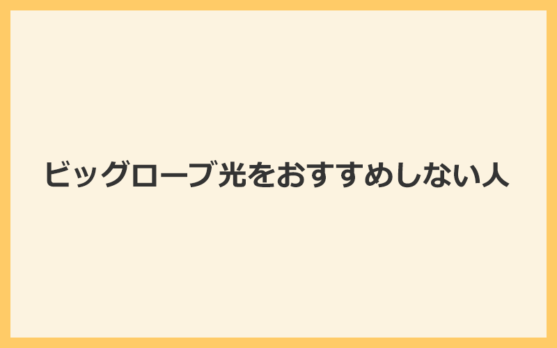 ビッグローブ光をおすすめしない人