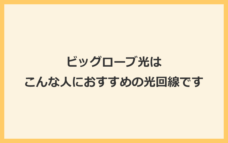 ビッグローブ光はこんな人におすすめする光回線です