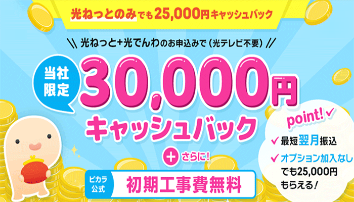 NEXTの特典はキャッシュバック最大30,000円！オプション加入しなくてもお得